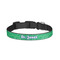 Equations Dog Collar - Small - Front