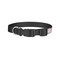 Princess Dog Collar - Small - Back