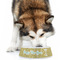 Happy New Year Plastic Pet Bowls - Large - LIFESTYLE