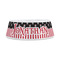 Pirate & Stripes Plastic Dog Bowls - Medium - FRONT