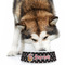 Pirate Plastic Pet Bowls - Large - LIFESTYLE