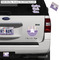 Purple Gingham & Stripe Exterior Car Accessories