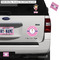 Pink Pirate Exterior Car Accessories