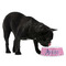 Pink Pirate Plastic Pet Bowls - Medium - LIFESTYLE