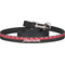 Pirate & Dots Dog Leash w/ Metal Hook2