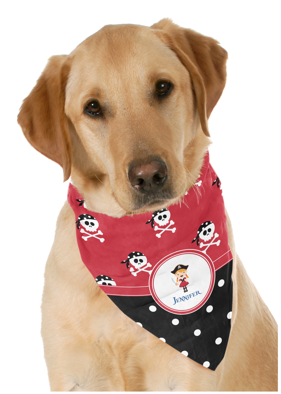 Pirate shop dog bandana