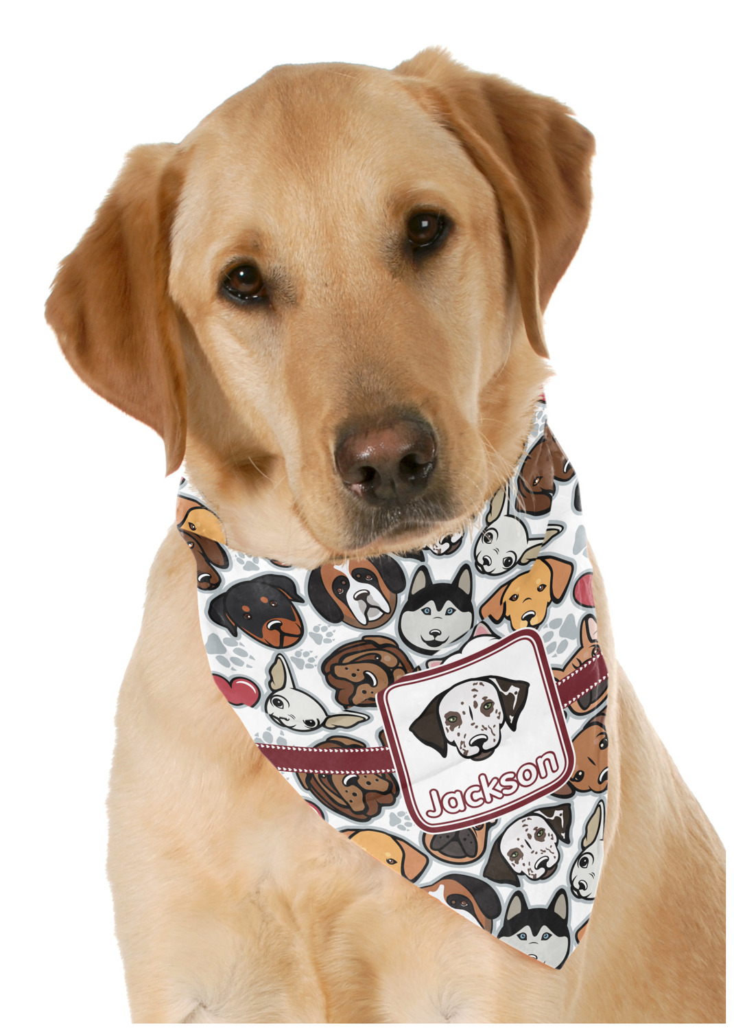 Dog hot sale bandana name