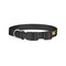 Cheer Dog Collar - Small - Back