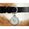 Animal Alphabet Round Pet Tag on Collar & Dog