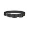 Music DJ Master Dog Collar - Small - Back