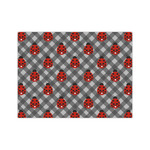 Ladybugs & Gingham Medium Tissue Papers Sheets - Heavyweight