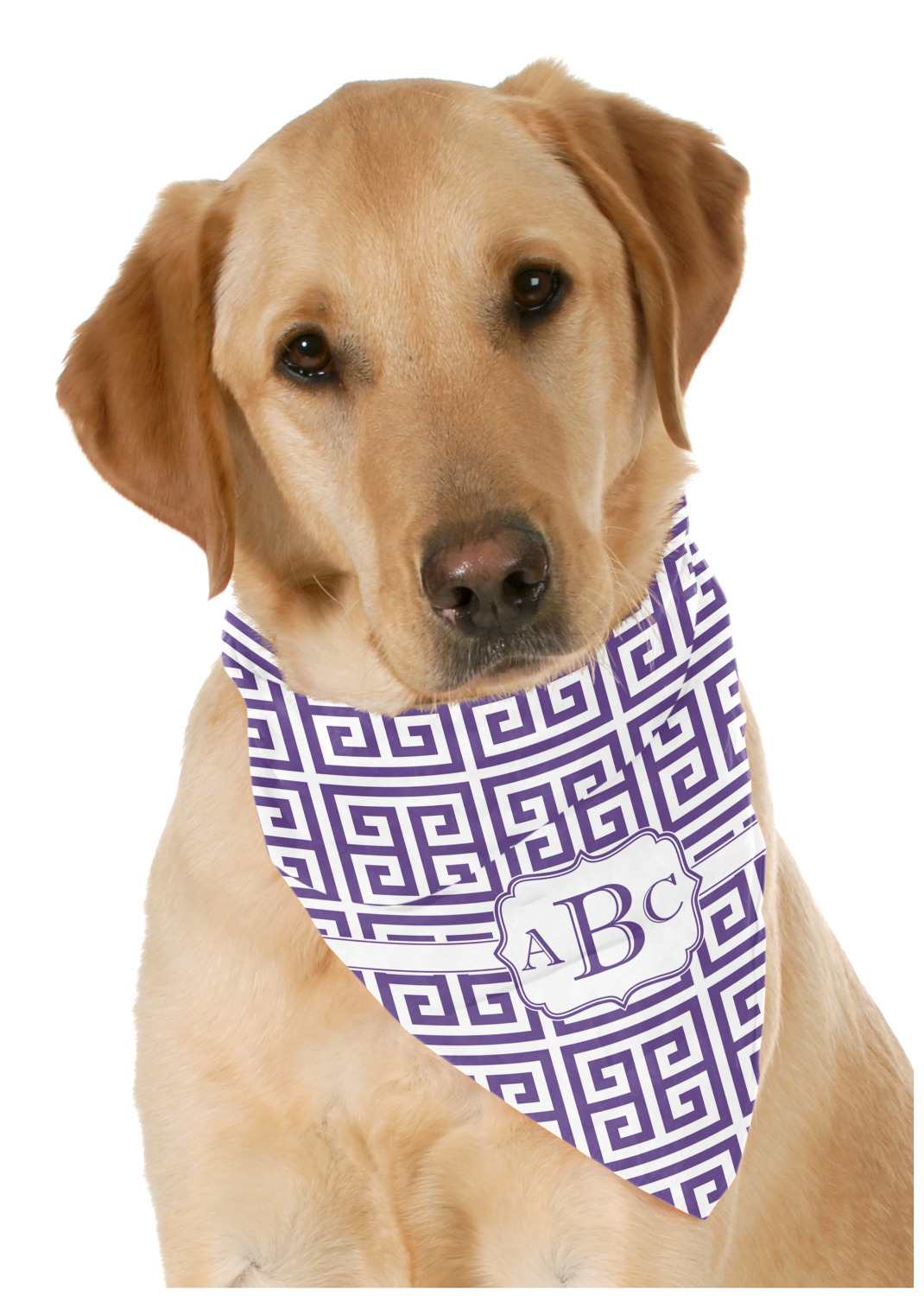 Greek dog on sale bandana