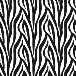 Zebra Print Wallpaper & Surface Covering (Peel & Stick 24"x 24" Sample)