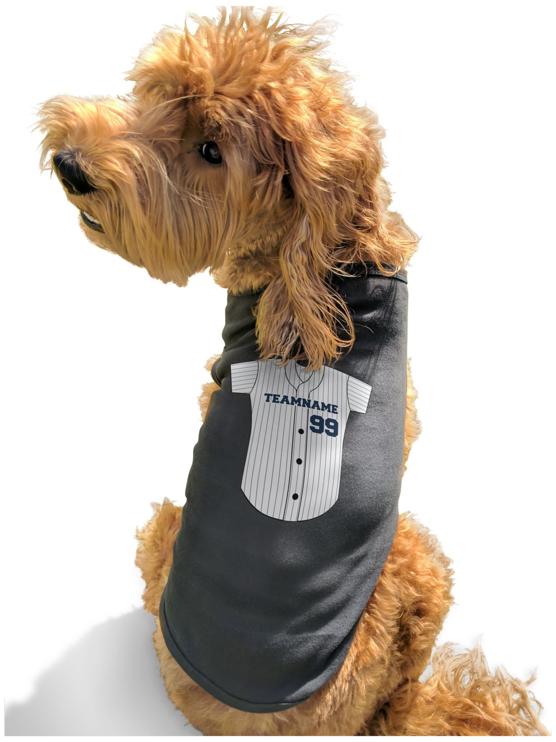 YouCustomizeIt Custom Baseball Jersey Black Pet Shirt - M (Personalized)