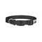 Musical Instruments Dog Collar - Small - Back