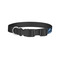 Sharks Dog Collar - Small - Back