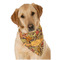 Thanksgiving Bandana - On Dog