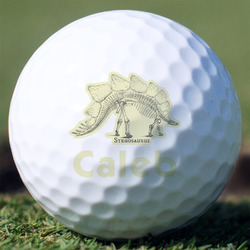 Dinosaur Skeletons Golf Balls - Titleist Pro V1 - Set of 12 (Personalized)