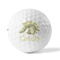 Dinosaur Skeletons Golf Balls - Titleist - Set of 12 - FRONT