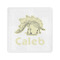 Dinosaur Skeletons Standard Cocktail Napkins (Personalized)