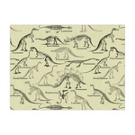 Dinosaur Skeletons Large Tissue Papers Sheets - Heavyweight