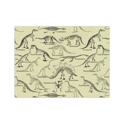 Dinosaur Skeletons Medium Tissue Papers Sheets - Heavyweight