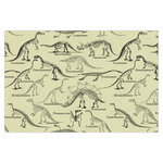 Dinosaur Skeletons X-Large Tissue Papers Sheets - Heavyweight