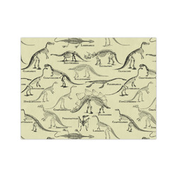 Dinosaur Skeletons Medium Tissue Papers Sheets - Lightweight