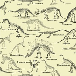 Dinosaur Skeletons Wallpaper & Surface Covering (Water Activated 24"x 24" Sample)