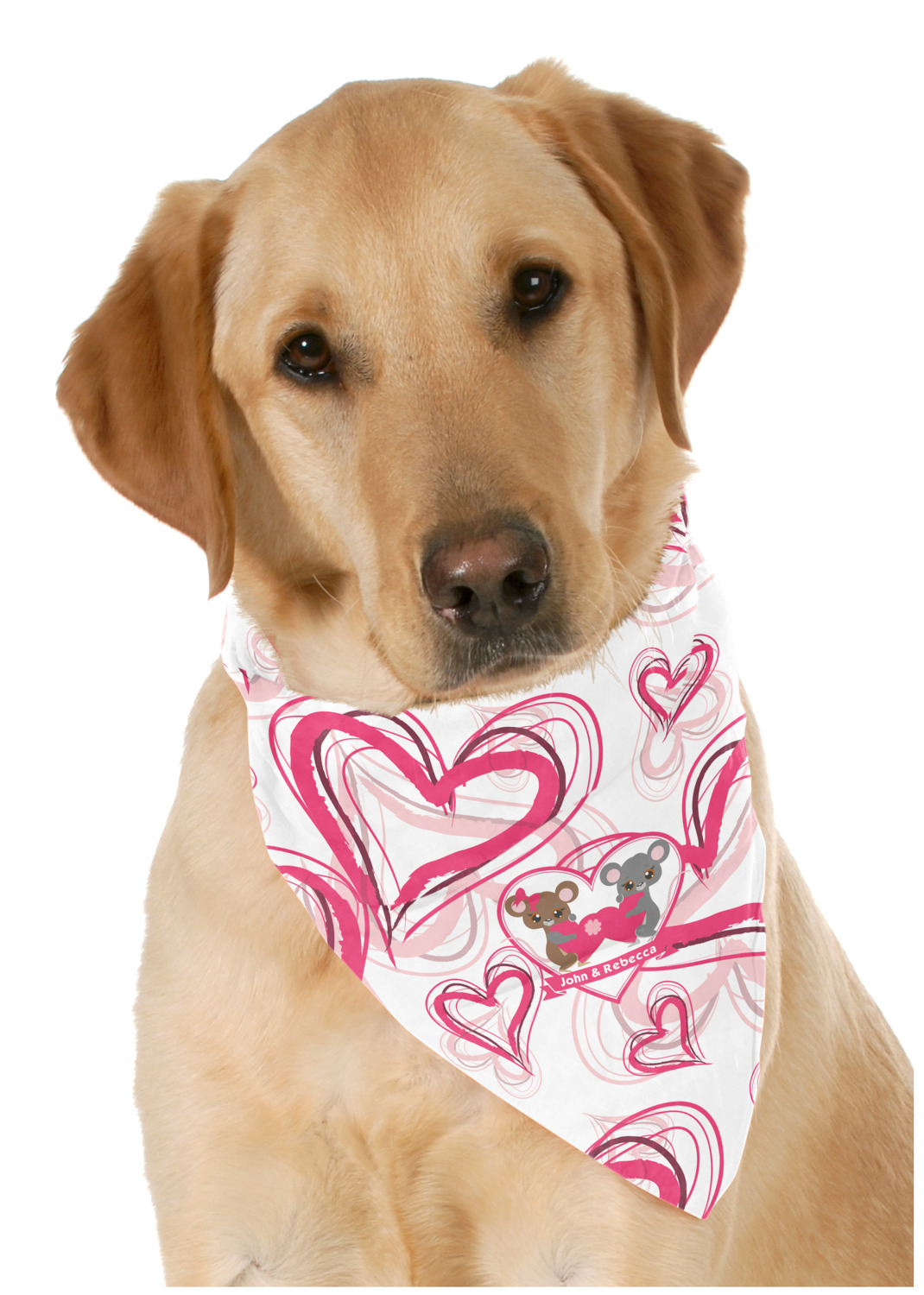 Valentines fashion dog bandana