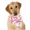 Valentine's Day Bandana - On Dog
