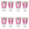 Pink & Green Paisley and Stripes Glass Shot Glass - with gold rim - Set of 4 - APPROVAL