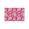 Pink & Green Paisley and Stripes Tissue Paper - Heavyweight - Small - Front