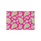 Pink & Green Paisley and Stripes Tissue Paper - Lightweight - Small - Front