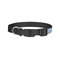 Dentist Dog Collar - Small - Back