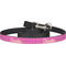 Colorful Trellis Dog Leash (Personalized)