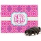 Colorful Trellis Microfleece Dog Blanket - Regular