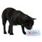 Flying Pigs Plastic Pet Bowls - Medium - LIFESTYLE