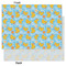 Rubber Duckies & Flowers Tissue Paper - Lightweight - Large - Front & Back