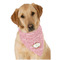 Mother's Day Bandana - On Dog