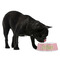 Mother's Day Plastic Pet Bowls - Medium - LIFESTYLE