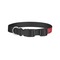 School Mascot Dog Collar - Small - Back