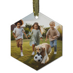 Photo Flat Glass Ornament - Hexagon