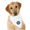 Logo Bandana - On Dog