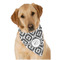 Ikat Bandana - On Dog