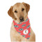 Region 3 Logo Bandana - On Dog