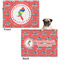 Region 3 Logo Microfleece Dog Blanket - Regular - Front & Back