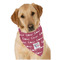 North Texas Airstream Community Bandana - On Dog