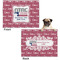 North Texas Airstream Community Microfleece Dog Blanket - Regular - Front & Back