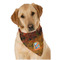 Airstream International Rally - 2024 Bandana - On Dog